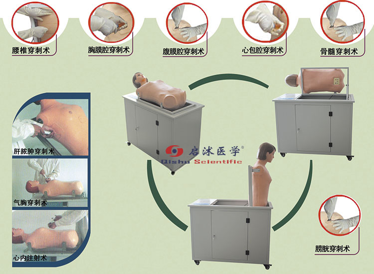 高級全自動多種穿刺叩診電腦模型人