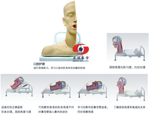 高級吞咽機制模型