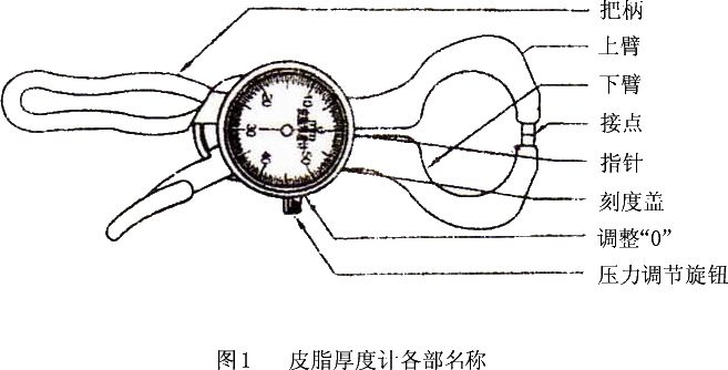 皮脂厚度計(jì)說(shuō)明