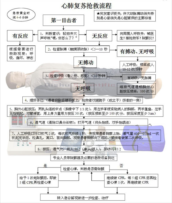 心肺復(fù)蘇模擬人搶救流程